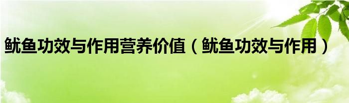 魷魚(yú)功效與作用營(yíng)養(yǎng)價(jià)值（魷魚(yú)功效與作用）