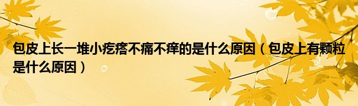 包皮上長一堆小疙瘩不痛不癢的是什么原因（包皮上有顆粒是什么原因）