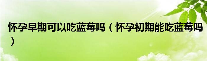 懷孕早期可以吃藍(lán)莓嗎（懷孕初期能吃藍(lán)莓嗎）