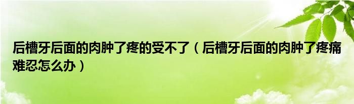 后槽牙后面的肉腫了疼的受不了（后槽牙后面的肉腫了疼痛難忍怎么辦）