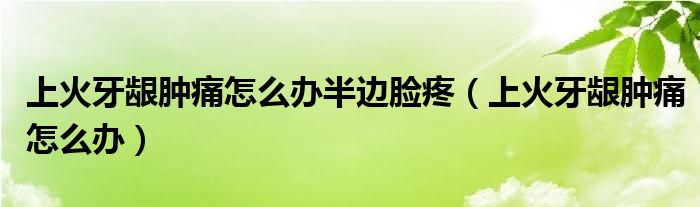 上火牙齦腫痛怎么辦半邊臉疼（上火牙齦腫痛怎么辦）