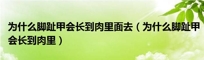 為什么腳趾甲會(huì)長到肉里面去（為什么腳趾甲會(huì)長到肉里）