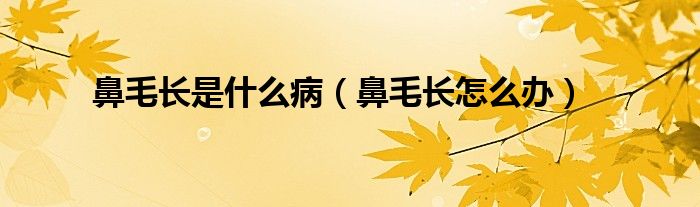 鼻毛長(zhǎng)是什么?。ū敲L(zhǎng)怎么辦）