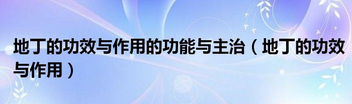 地丁的功效與作用的功能與主治（地丁的功效與作用）