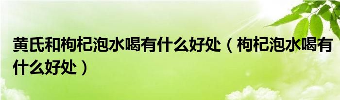 黃氏和枸杞泡水喝有什么好處（枸杞泡水喝有什么好處）