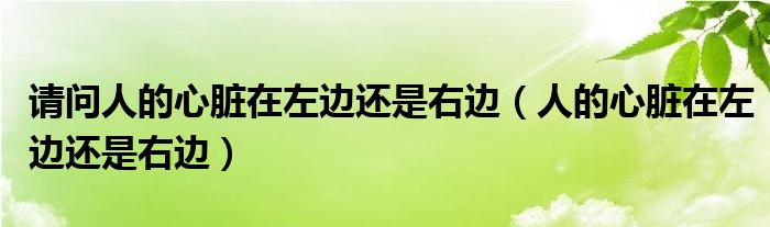 請(qǐng)問(wèn)人的心臟在左邊還是右邊（人的心臟在左邊還是右邊）