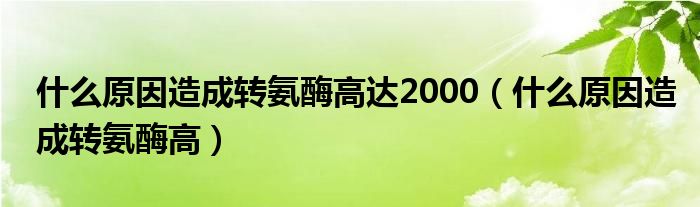 什么原因造成轉(zhuǎn)氨酶高達(dá)2000（什么原因造成轉(zhuǎn)氨酶高）