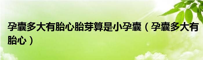 孕囊多大有胎心胎芽算是小孕囊（孕囊多大有胎心）