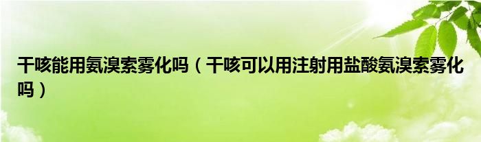 干咳能用氨溴索霧化嗎（干咳可以用注射用鹽酸氨溴索霧化嗎）