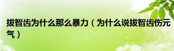 拔智齒為什么那么暴力（為什么說拔智齒傷元氣）