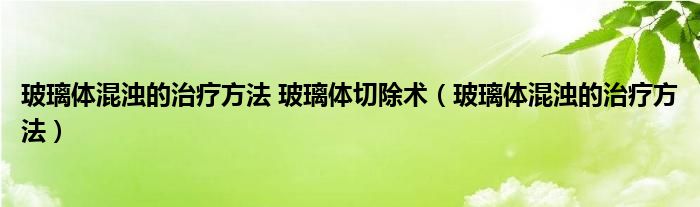 玻璃體混濁的治療方法 玻璃體切除術(shù)（玻璃體混濁的治療方法）