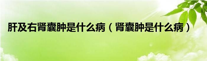 肝及右腎囊腫是什么病（腎囊腫是什么?。?class='thumb lazy' /></a>
		    <header>
		<h2><a  href=