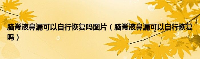 腦脊液鼻漏可以自行恢復嗎圖片（腦脊液鼻漏可以自行恢復嗎）