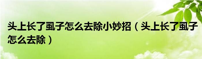 頭上長(zhǎng)了虱子怎么去除小妙招（頭上長(zhǎng)了虱子怎么去除）