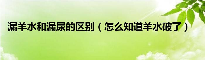 漏羊水和漏尿的區(qū)別（怎么知道羊水破了）