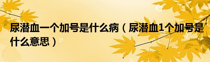 尿潛血一個(gè)加號(hào)是什么?。驖撗?個(gè)加號(hào)是什么意思）