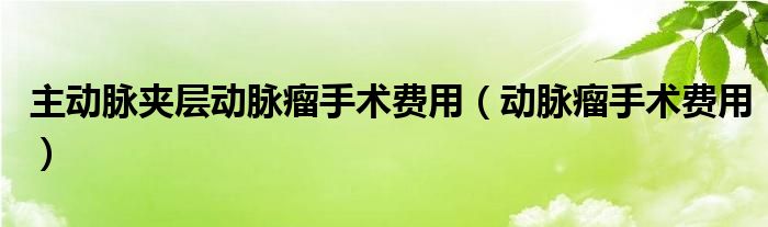 主動脈夾層動脈瘤手術費用（動脈瘤手術費用）