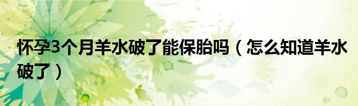 懷孕3個(gè)月羊水破了能保胎嗎（怎么知道羊水破了）