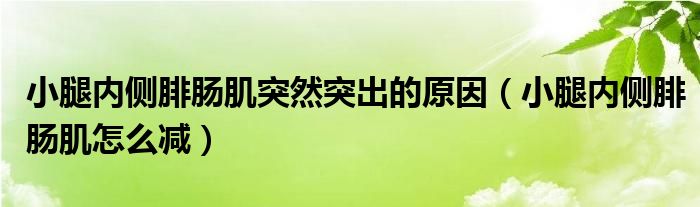 小腿內(nèi)側(cè)腓腸肌突然突出的原因（小腿內(nèi)側(cè)腓腸肌怎么減）