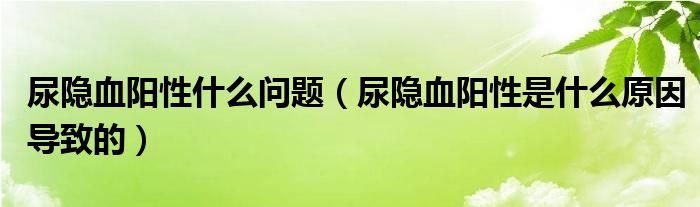 尿隱血陽(yáng)性什么問(wèn)題（尿隱血陽(yáng)性是什么原因?qū)е碌模? /></span>
		<span id=