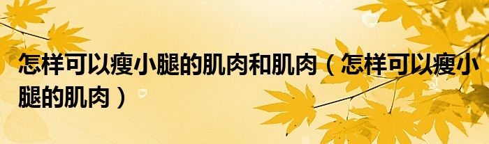 怎樣可以瘦小腿的肌肉和肌肉（怎樣可以瘦小腿的肌肉）