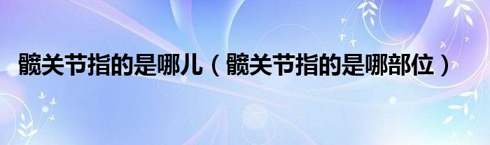 髖關(guān)節(jié)指的是哪兒（髖關(guān)節(jié)指的是哪部位）