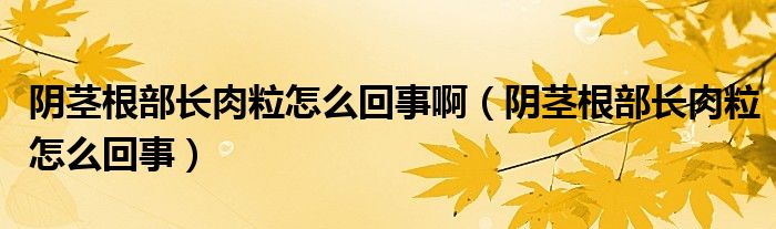 陰莖根部長肉粒怎么回事?。幥o根部長肉粒怎么回事）