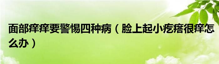 面部癢癢要警惕四種?。樕掀鹦「泶窈馨W怎么辦）