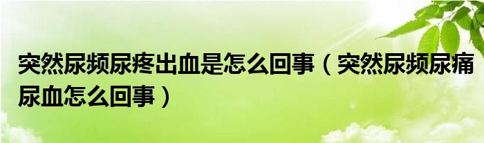 突然尿頻尿疼出血是怎么回事（突然尿頻尿痛尿血怎么回事）