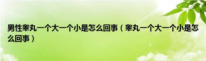 男性睪丸一個(gè)大一個(gè)小是怎么回事（睪丸一個(gè)大一個(gè)小是怎么回事）