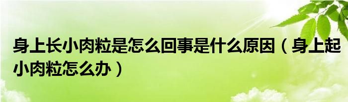 身上長(zhǎng)小肉粒是怎么回事是什么原因（身上起小肉粒怎么辦）