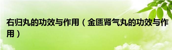 右歸丸的功效與作用（金匱腎氣丸的功效與作用）