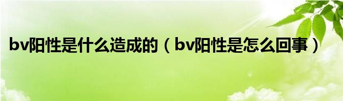 bv陽性是什么造成的（bv陽性是怎么回事）