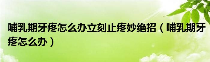 哺乳期牙疼怎么辦立刻止疼妙絕招（哺乳期牙疼怎么辦）