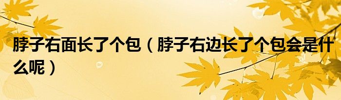 脖子右面長了個(gè)包（脖子右邊長了個(gè)包會(huì)是什么呢）