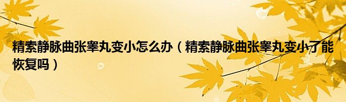 精索靜脈曲張睪丸變小怎么辦（精索靜脈曲張睪丸變小了能恢復(fù)嗎）