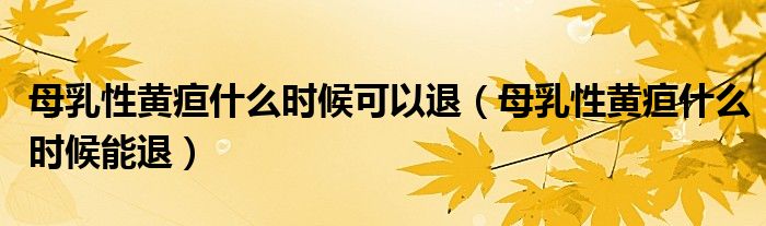 母乳性黃疸什么時(shí)候可以退（母乳性黃疸什么時(shí)候能退）