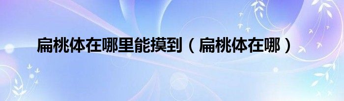 扁桃體在哪里能摸到（扁桃體在哪）