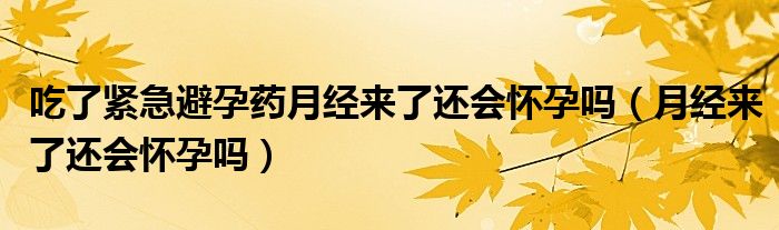 吃了緊急避孕藥月經(jīng)來(lái)了還會(huì)懷孕嗎（月經(jīng)來(lái)了還會(huì)懷孕嗎）