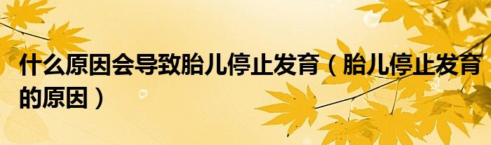 什么原因會(huì)導(dǎo)致胎兒停止發(fā)育（胎兒停止發(fā)育的原因）