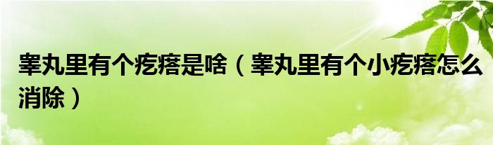 睪丸里有個(gè)疙瘩是啥（睪丸里有個(gè)小疙瘩怎么消除）