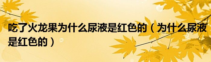 吃了火龍果為什么尿液是紅色的（為什么尿液是紅色的）