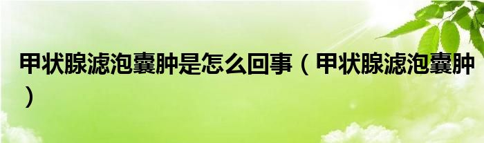 甲狀腺濾泡囊腫是怎么回事（甲狀腺濾泡囊腫）