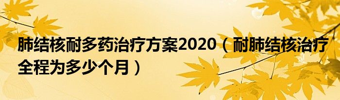 肺結核耐多藥治療方案2020（耐肺結核治療全程為多少個月）