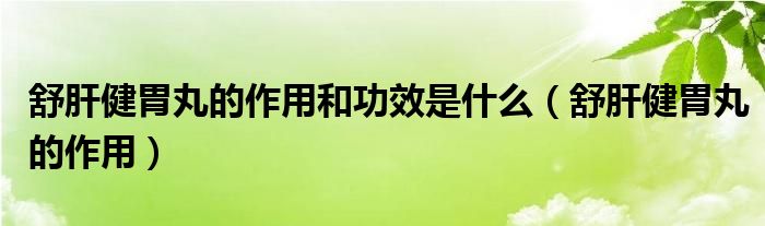 舒肝健胃丸的作用和功效是什么（舒肝健胃丸的作用）