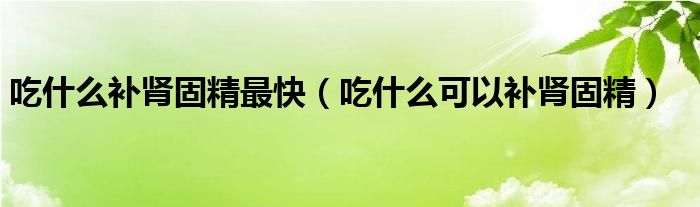 吃什么補腎固精最快（吃什么可以補腎固精）