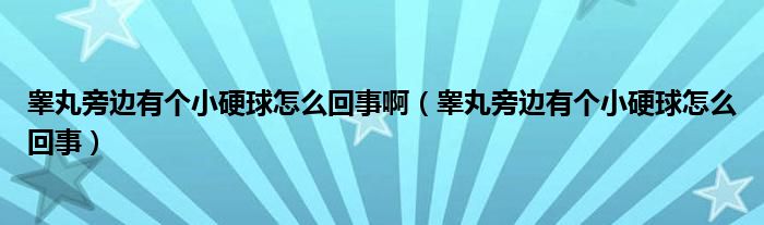 睪丸旁邊有個(gè)小硬球怎么回事啊（睪丸旁邊有個(gè)小硬球怎么回事）