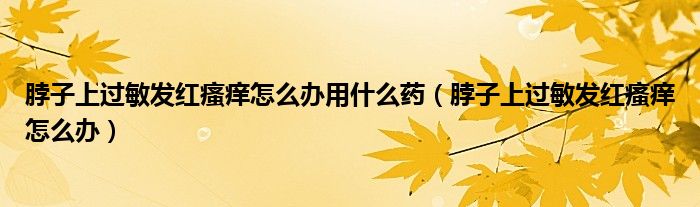 脖子上過(guò)敏發(fā)紅瘙癢怎么辦用什么藥（脖子上過(guò)敏發(fā)紅瘙癢怎么辦）