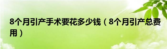 8個(gè)月引產(chǎn)手術(shù)要花多少錢(qián)（8個(gè)月引產(chǎn)總費(fèi)用）