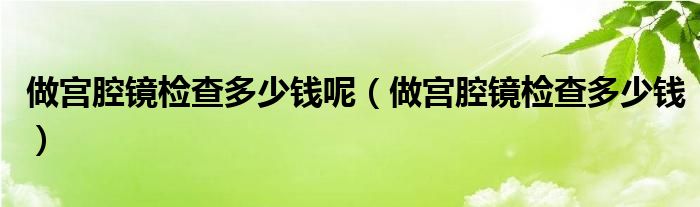 做宮腔鏡檢查多少錢呢（做宮腔鏡檢查多少錢）